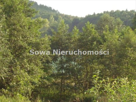 Działka budowlana na sprzedaż Wałbrzych, Poniatów 1 650m2 Foto 5