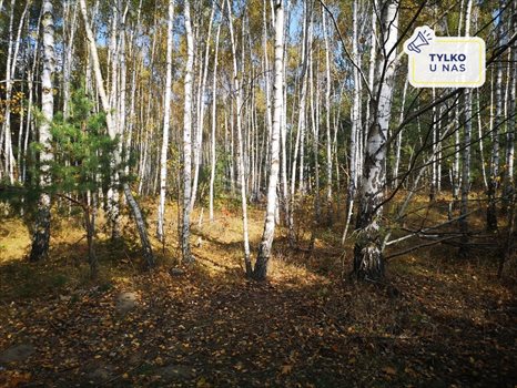Działka rekreacyjna na sprzedaż Ponik 3 150m2 Foto 1
