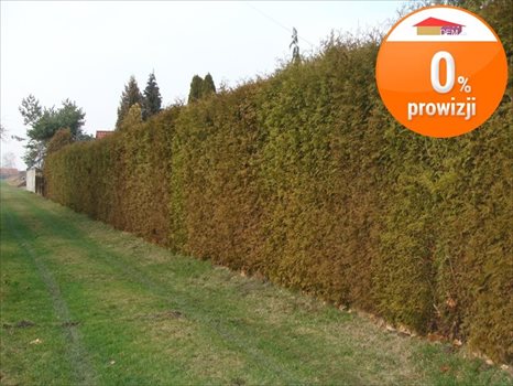 Działka inna na sprzedaż Gliwice, Brzezinka 792m2 Foto 2