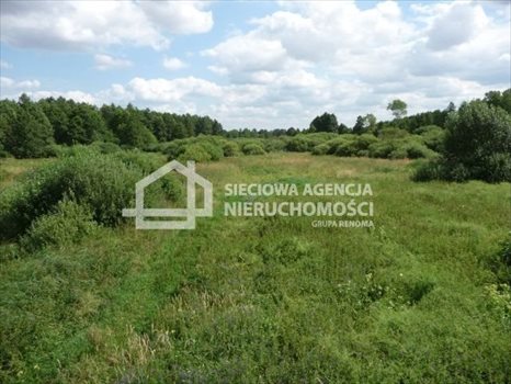 Działka rolna na sprzedaż Ciechocin 15 000m2 Foto 5