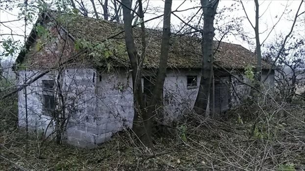 Działka budowlana na sprzedaż Horoszczyce 3 100m2 Foto 8