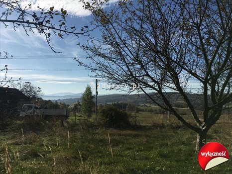 Działka budowlana na sprzedaż Dobranowice 4 500m2 Foto 11
