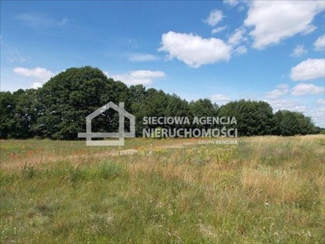 Działka rolna na sprzedaż Małe Swornegacie 4 792m2 Foto 6