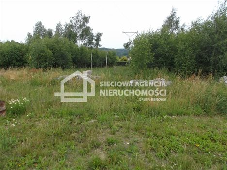 Działka budowlana na sprzedaż Bielkówko 5 900m2 Foto 3