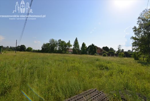 Działka inna pod dzierżawę Dąbrówki, Dąbrówki 6 000m2 Foto 4