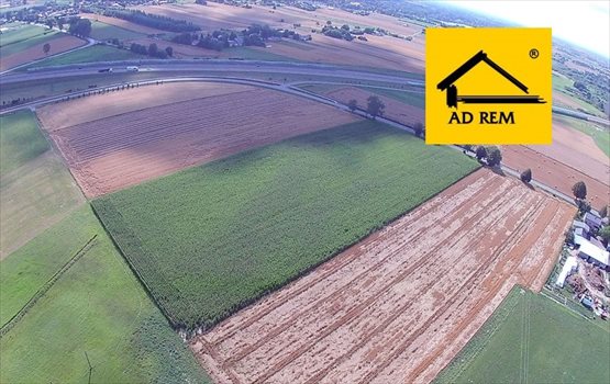 Działka inwestycyjna na sprzedaż Bogucin, Bogucin 26 200m2 Foto 1