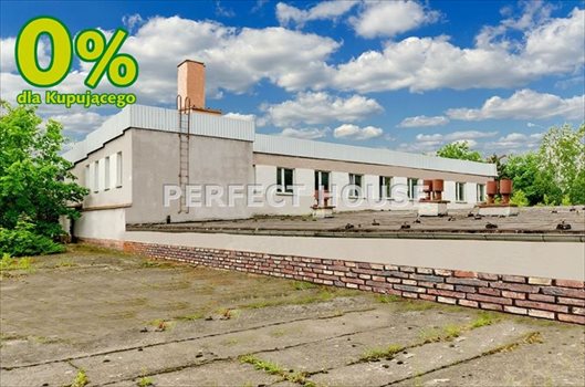 Lokal użytkowy na sprzedaż Zbrudzewo 1 766m2 Foto 1