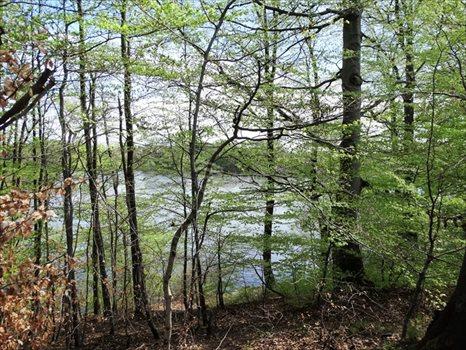 Działka budowlana na sprzedaż Łapino Kartuskie 734m2 Foto 2