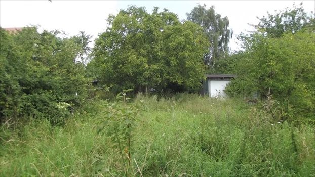 Działka budowlana na sprzedaż Rewa, Bukowy las 1 793m2 Foto 6