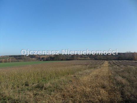 Lokal użytkowy na sprzedaż Gościeradz 127 980m2 Foto 8
