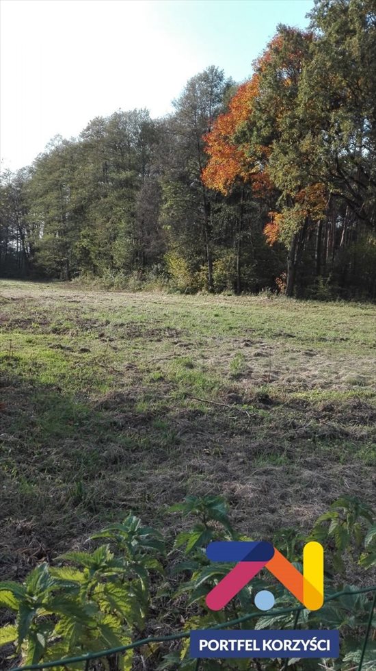 Działka budowlana na sprzedaż Droszków 2 868m2 Foto 3
