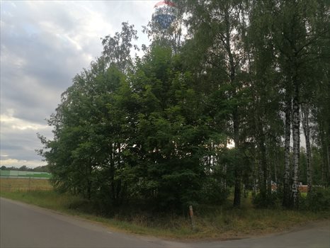 Działka budowlana na sprzedaż Dąbrówka-Strumiany 1 972m2 Foto 8