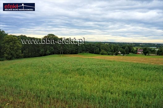 Działka budowlana na sprzedaż Iłownica 4 200m2 Foto 5