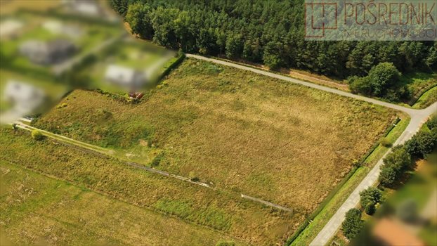 Działka budowlana na sprzedaż Wołczkowo 3 000m2 Foto 5