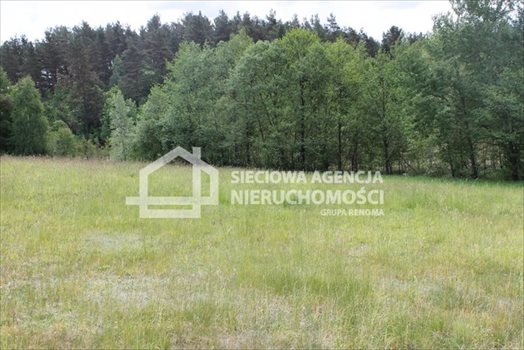 Działka budowlana na sprzedaż Lubowidz 1 621m2 Foto 4