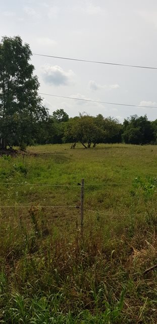 Działka budowlana na sprzedaż Augustów, Rajgrodzka 1 705m2 Foto 3