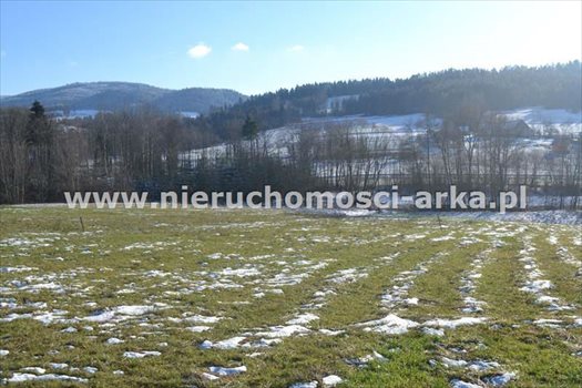 Działka budowlana na sprzedaż Wilczyce 2 300m2 Foto 4