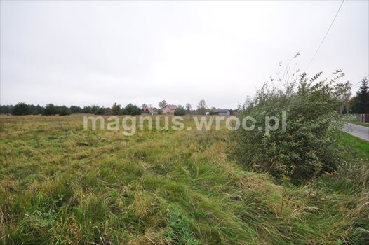 Działka budowlana na sprzedaż Chrząstawa Wielka 1 126m2 Foto 7