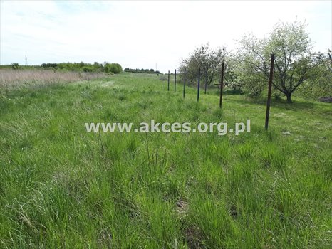 Działka inna na sprzedaż Komorniki 14 814m2 Foto 11