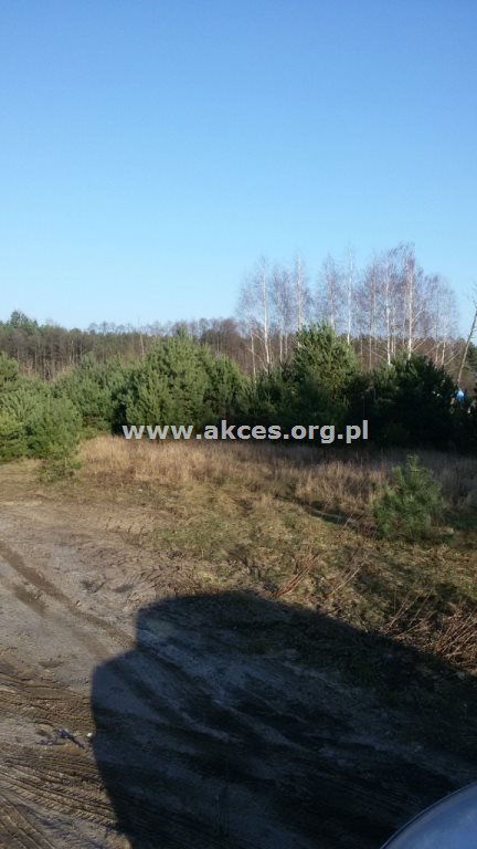 Działka budowlana na sprzedaż Prace Duże 1 406m2 Foto 6