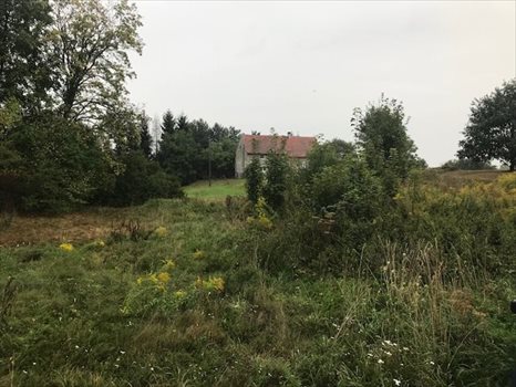 Działka budowlana na sprzedaż Henryków Lubański 1 511m2 Foto 2