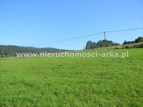 Działka budowlana na sprzedaż Dobra 2 500m2 Foto 3
