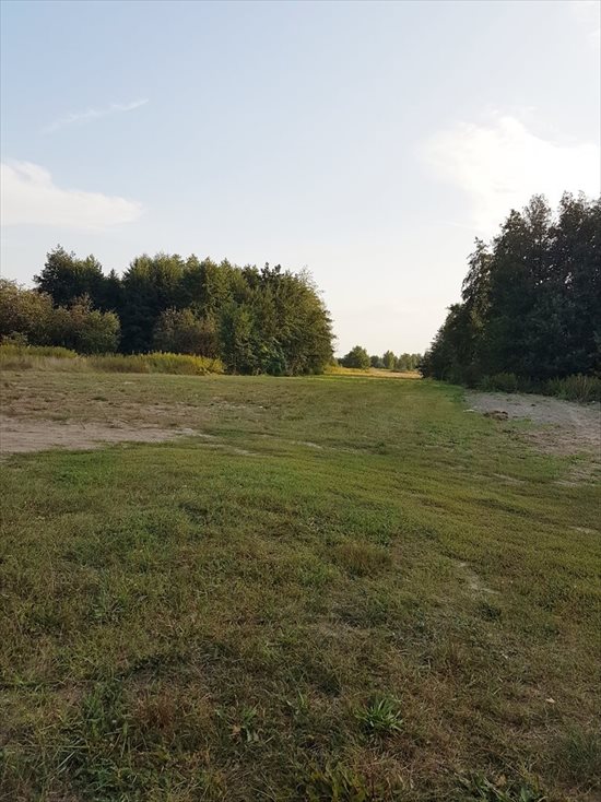 Działka budowlana na sprzedaż Słupno 7 100m2 Foto 4