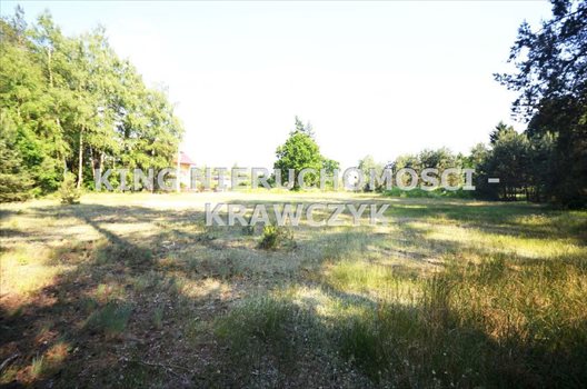 Działka inna na sprzedaż Szczecin, Jezierzyce 1 464m2 Foto 5