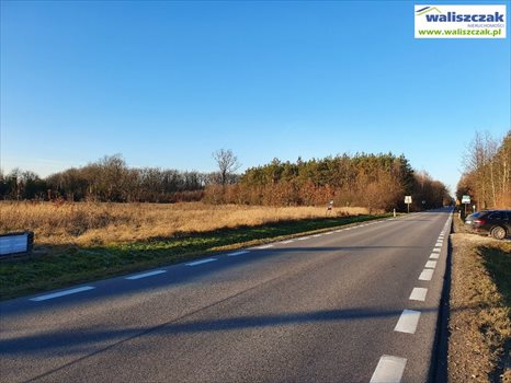 Działka budowlana na sprzedaż Raków 3 400m2 Foto 2