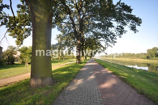 Dom na sprzedaż Wrocław, Śródmieście, Zacisze, Marcelego Handelsmana 140m2 Foto 6