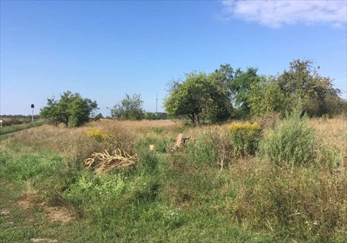 Działka budowlana na sprzedaż Dębienko 915m2 Foto 2