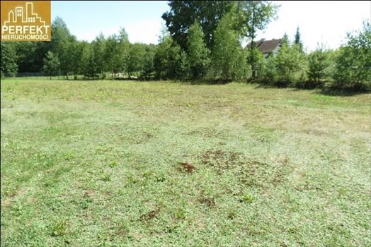 Działka budowlana na sprzedaż Barcikowo, Skraj Wsi, Barcikowo 2 000m2 Foto 2