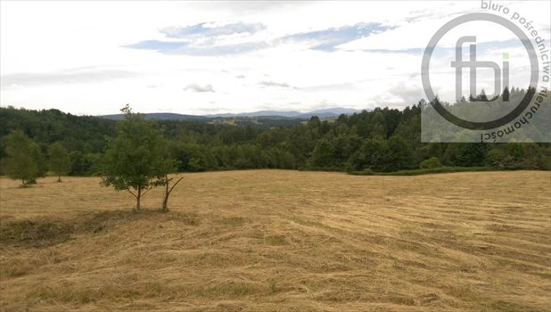 Działka rekreacyjna na sprzedaż Kalwaria Zebrzydowska 11 284m2 Foto 3