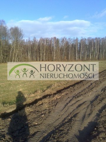 Działka budowlana na sprzedaż Kamień 3 295m2 Foto 5