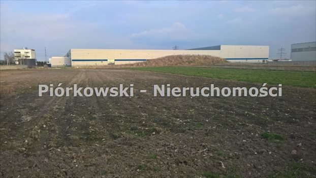 Działka inna pod dzierżawę Sokołów, Rodzinna 6 000m2 Foto 2