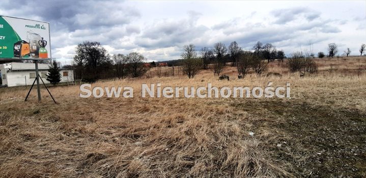 Działka inna na sprzedaż Wałbrzych, Biały Kamień 8 563m2 Foto 9