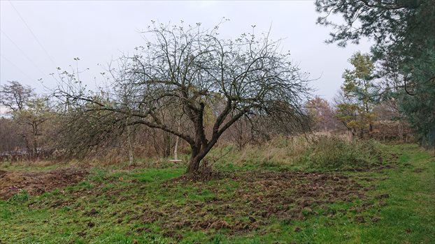 Działka budowlana na sprzedaż Tarnów, Marusarz / Bystra 1 287m2 Foto 1