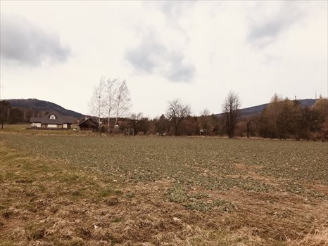 Działka budowlana na sprzedaż Sulistrowice, Nowa 1 200m2 Foto 6