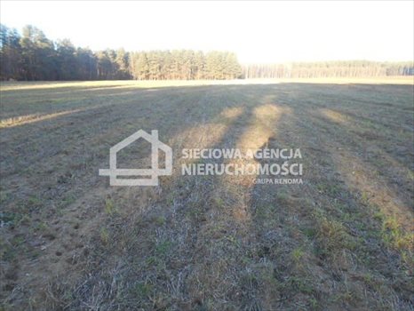 Działka budowlana na sprzedaż Rokity 1 246m2 Foto 6