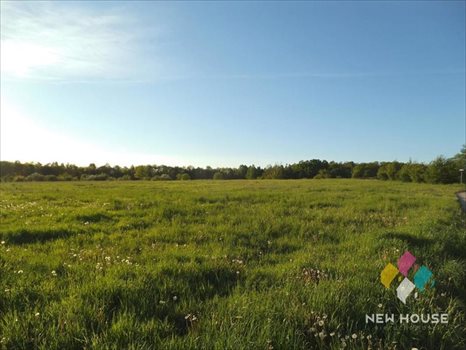 Działka budowlana na sprzedaż Nikielkowo, Dębowa 1 260m2 Foto 3