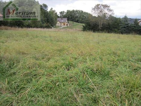 Działka budowlana na sprzedaż Nowy Sącz 1 100m2 Foto 3