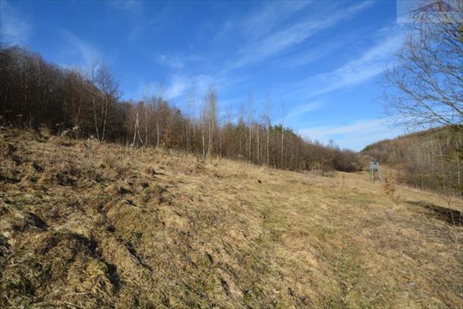 Działka rekreacyjna na sprzedaż Babice 2 400m2 Foto 1