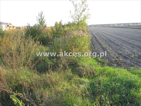 Działka budowlana na sprzedaż Nowa Wola 1 000m2 Foto 2