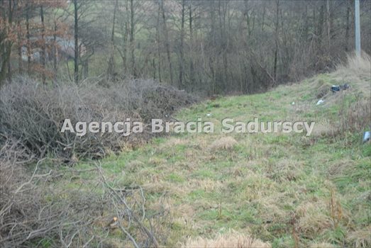 Działka budowlana na sprzedaż Trąbki 2 300m2 Foto 9