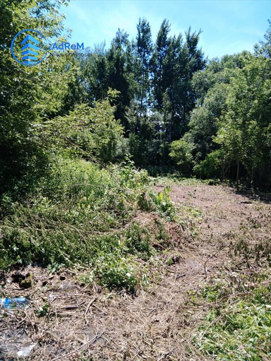 Działka przemysłowo-handlowa na sprzedaż Białystok, Młodych, Hetmańska 3 154m2 Foto 3