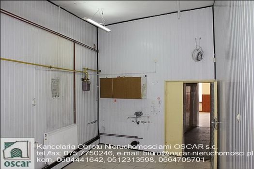 Lokal użytkowy na wynajem Zgorzelec, Centrum 60m2 Foto 5