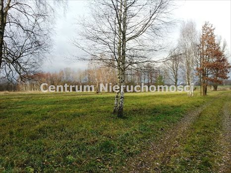 Działka inna na sprzedaż Wręczyca 44 914m2 Foto 2