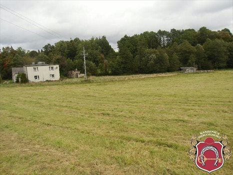 Działka budowlana na sprzedaż Donimierz, Otalerzyńska 30 333m2 Foto 5
