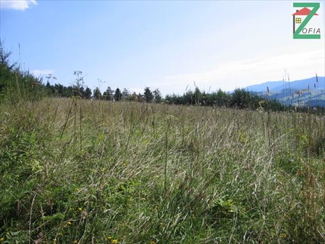 Działka rolna na sprzedaż RABKA-ZDRÓJ 4 159m2 Foto 2
