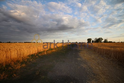 Działka przemysłowo-handlowa na sprzedaż Kąkolewo 1 296m2 Foto 3